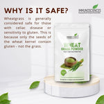 Wheatgrass Powder – Organic, Raw & Natural – Rich in Chlorophyll, Vitamins & Antioxidants - IMMUNOSCIENCES