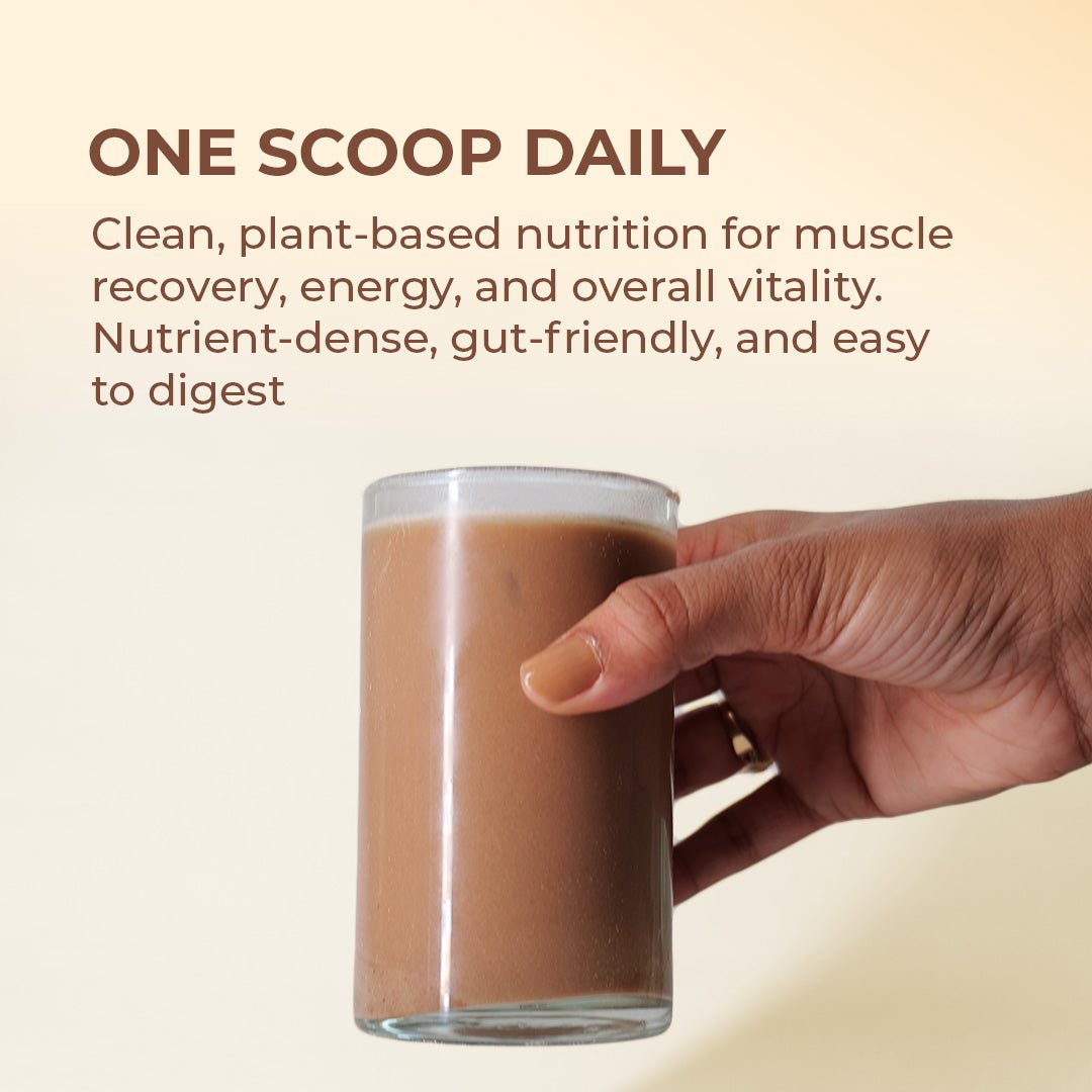 Pure Plant Protein – 24g Vegan Chocolate Protein with DigeZyme®, BCAAs & 9 Essential Amino Acids | Muscle Recovery, Energy & Digestive Support - IMMUNOSCIENCES