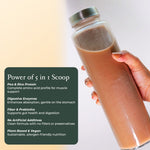 Pure Plant Protein – 24g Vegan Chocolate Protein with DigeZyme®, BCAAs & 9 Essential Amino Acids | Muscle Recovery, Energy & Digestive Support - IMMUNOSCIENCES