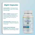 Can Reset – Advanced Cellular Detox & Immune Support Supplement - IMMUNOSCIENCES