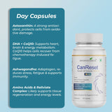 Can Reset – Advanced Cellular Detox & Immune Support Supplement - IMMUNOSCIENCES