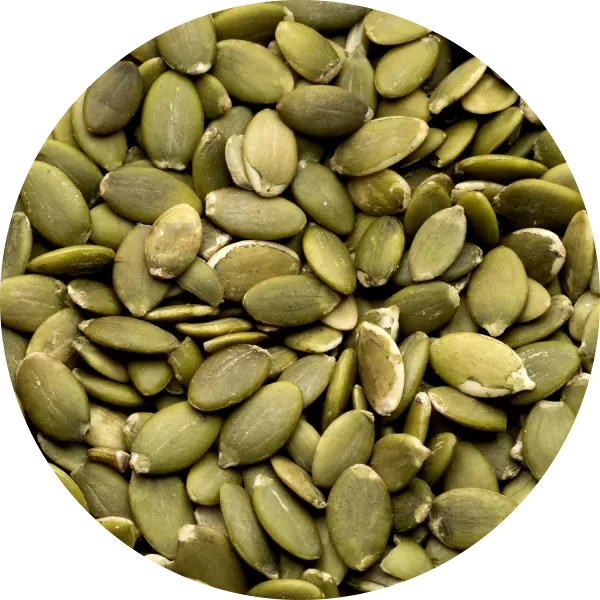 Pumpkin Seed Protein