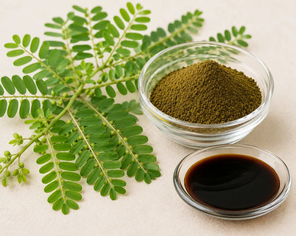 Phyllanthus Amarus Extract