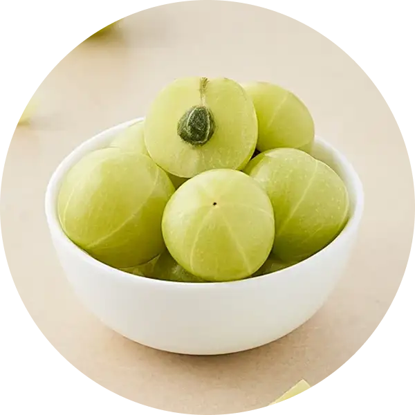 Antioxidant Support