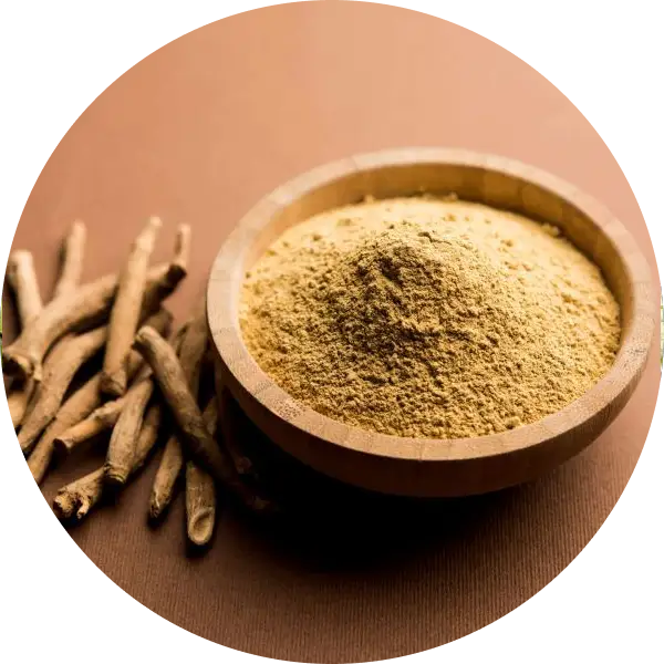 Ashwagandha Root Extract