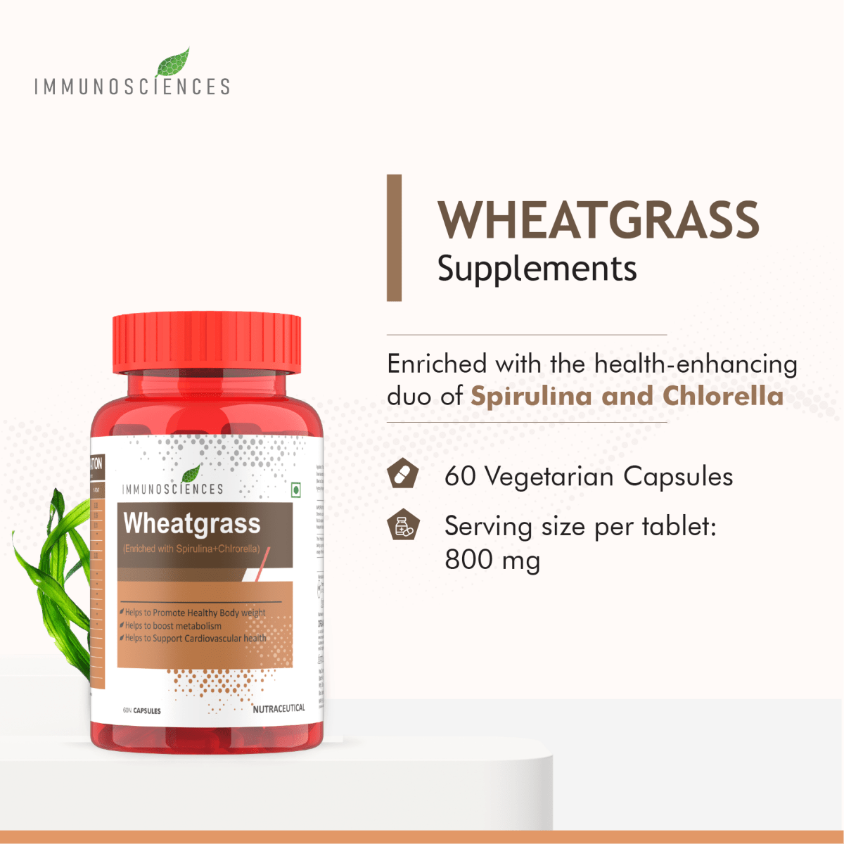 Wheatgrass – Natural Superfood for Detox, Energy & Immunity - IMMUNOSCIENCES