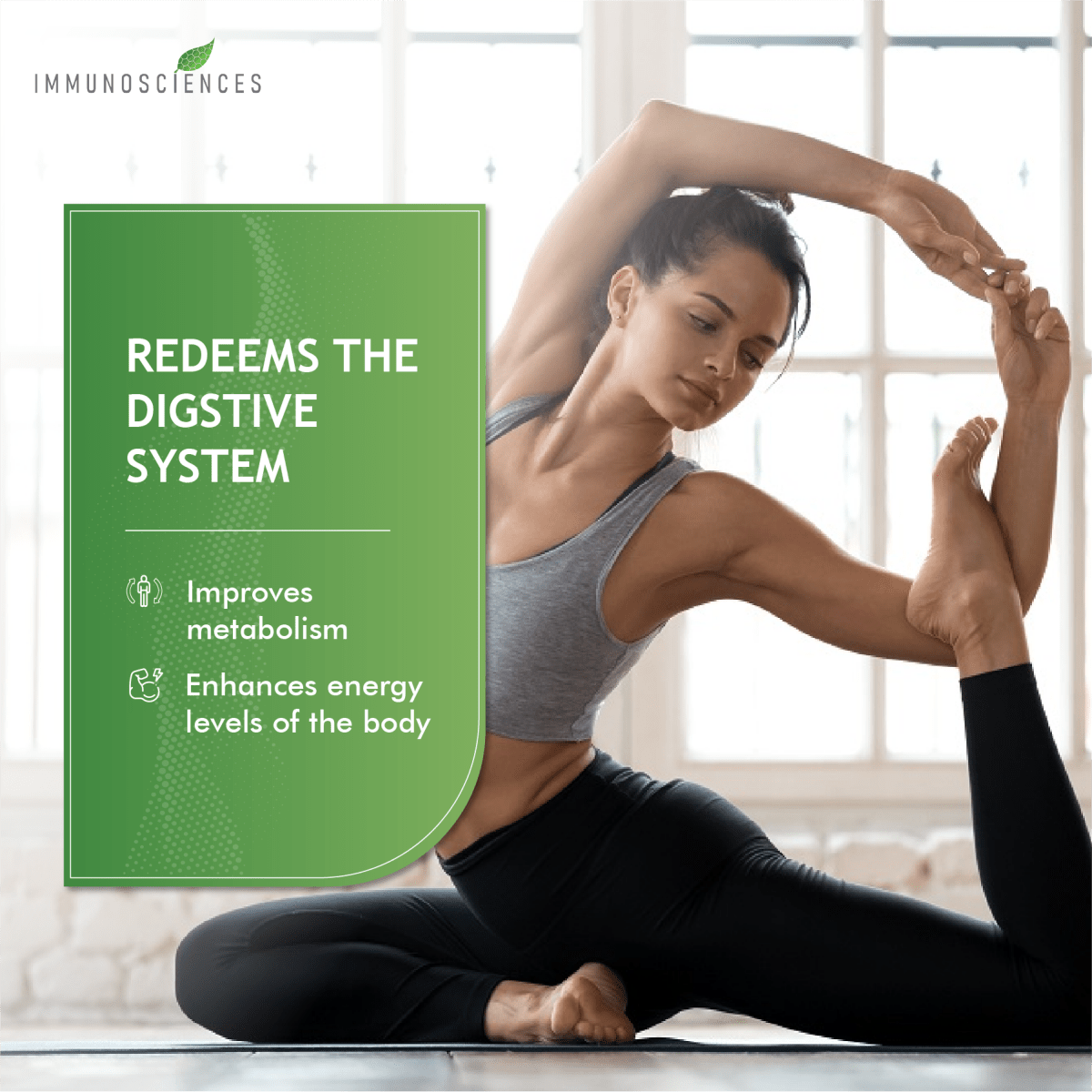 Green Tea Extract – Natural Antioxidant & Metabolism Support - IMMUNOSCIENCES