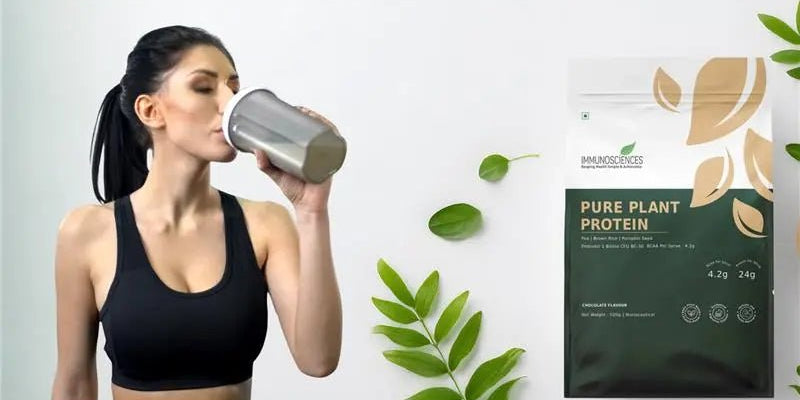 10 Health Benefits of Plant-Based Protein Powder for Fitness - IMMUNOSCIENCES