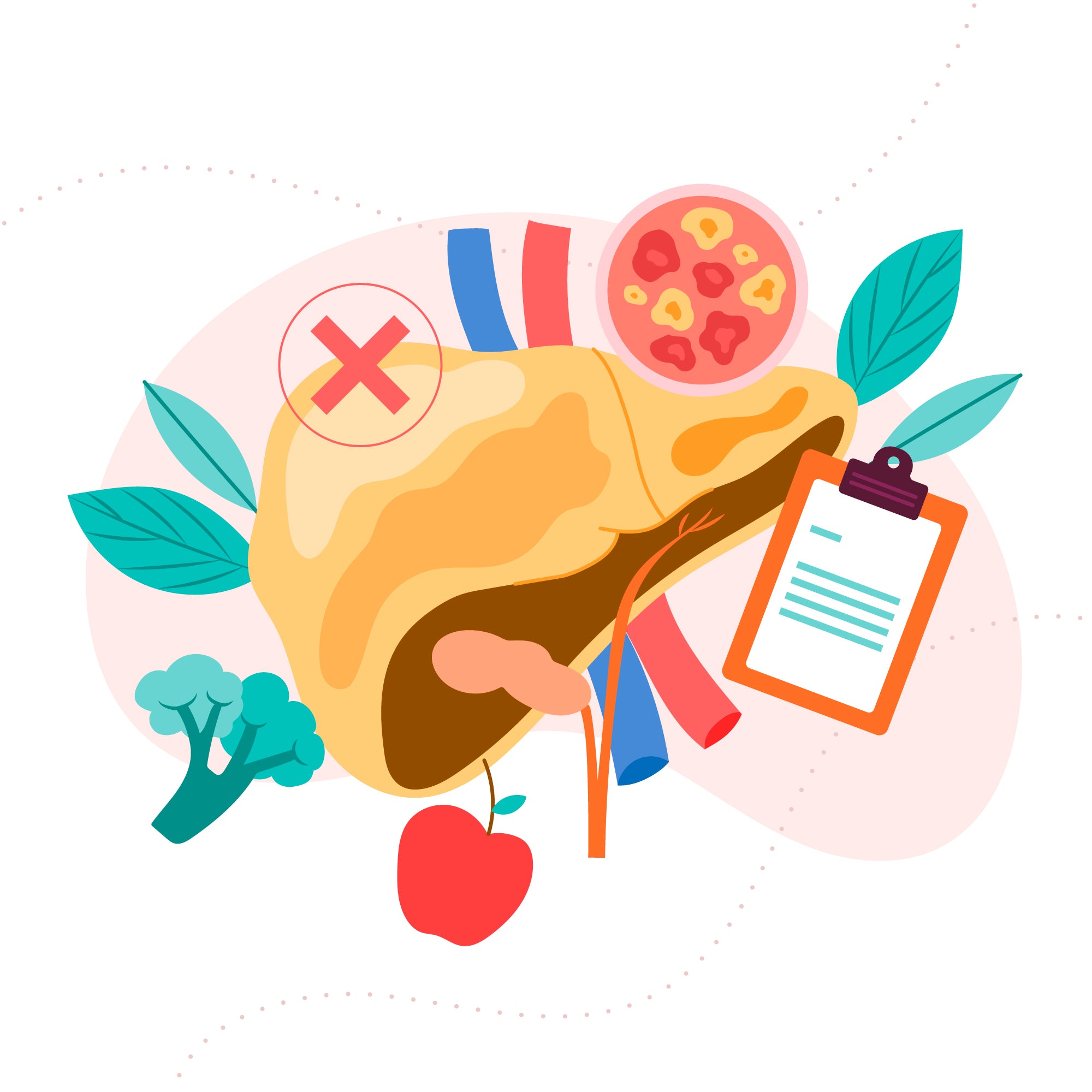 Milk Thistle: A Magical Ingredient For Liver Health - IMMUNOSCIENCES