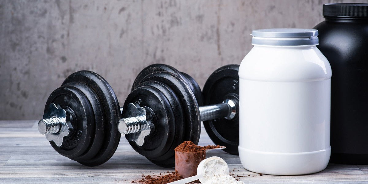 Best Protein Powder for Men—Build Muscle & Save Big Now! - IMMUNOSCIENCES