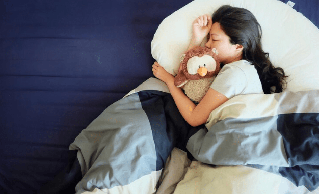Unlocking The Secrets of Sweet Slumber – IMMUNOSCIENCES