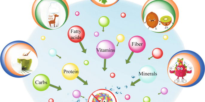 You Need To Know Common Vitamins And Supplements To Treat Dengue Fever - IMMUNOSCIENCES