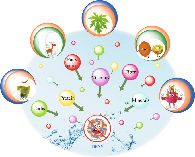 You Need To Know Common Vitamins And Supplements To Treat Dengue Fever - IMMUNOSCIENCES