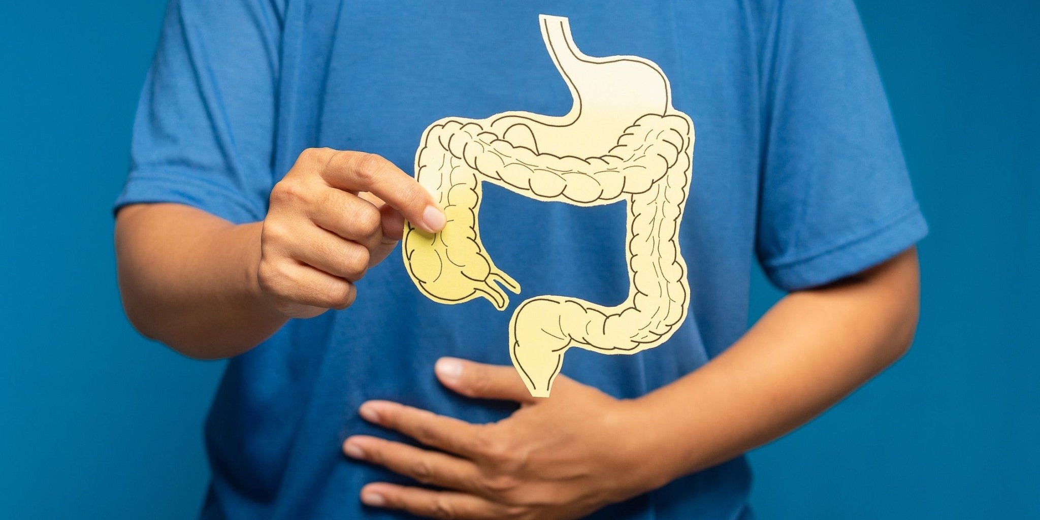 Does Protein Powder Cause Constipation? Causes and How to Fix It - IMMUNOSCIENCES