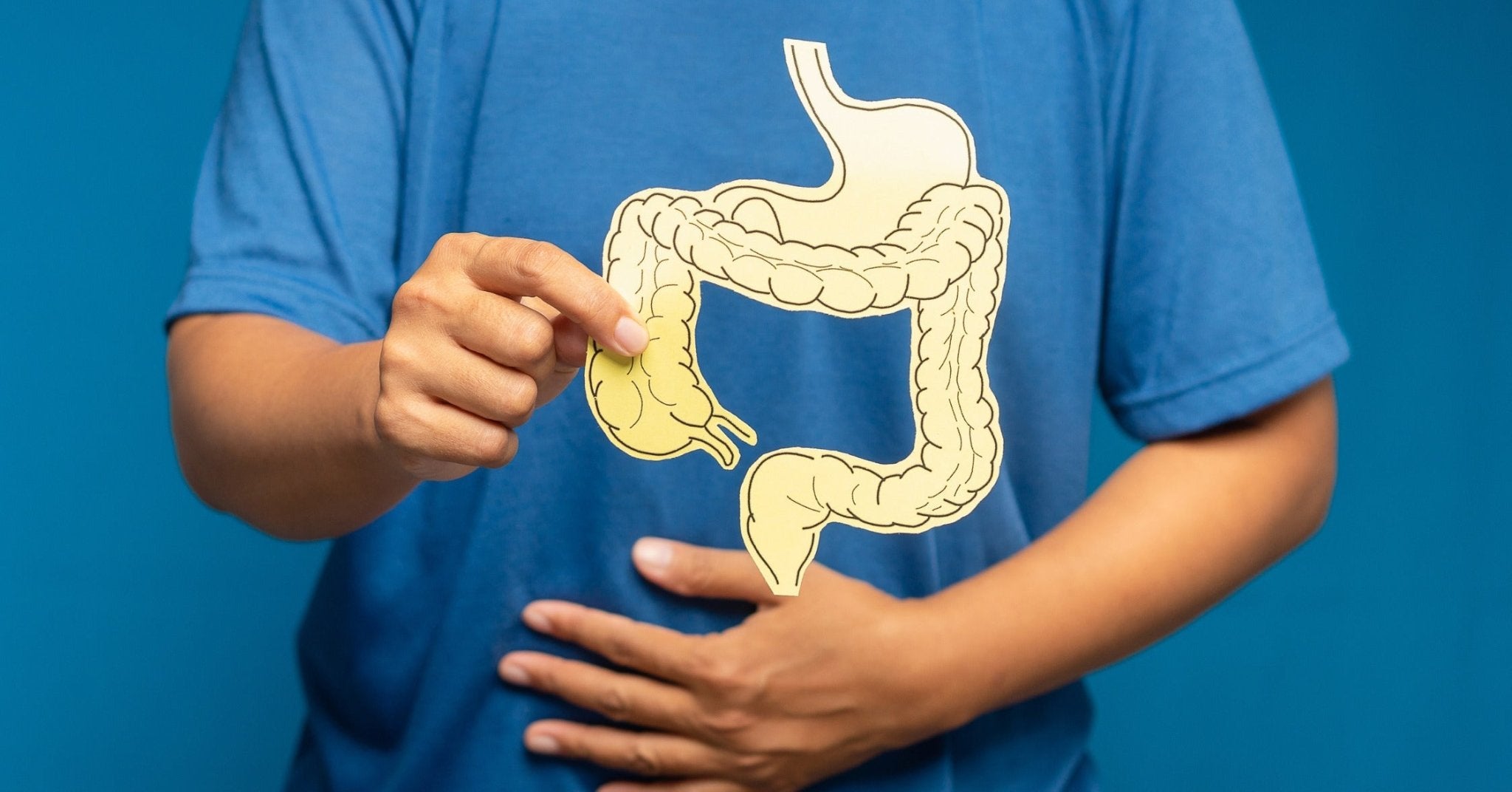 Does Protein Powder Cause Constipation? Causes and How to Fix It - IMMUNOSCIENCES