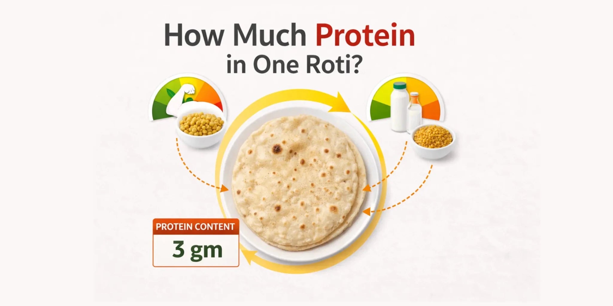 How Much Protein is in 1 Roti? Indian Roti (Chapati) Complete Nutrition Breakdown - IMMUNOSCIENCES