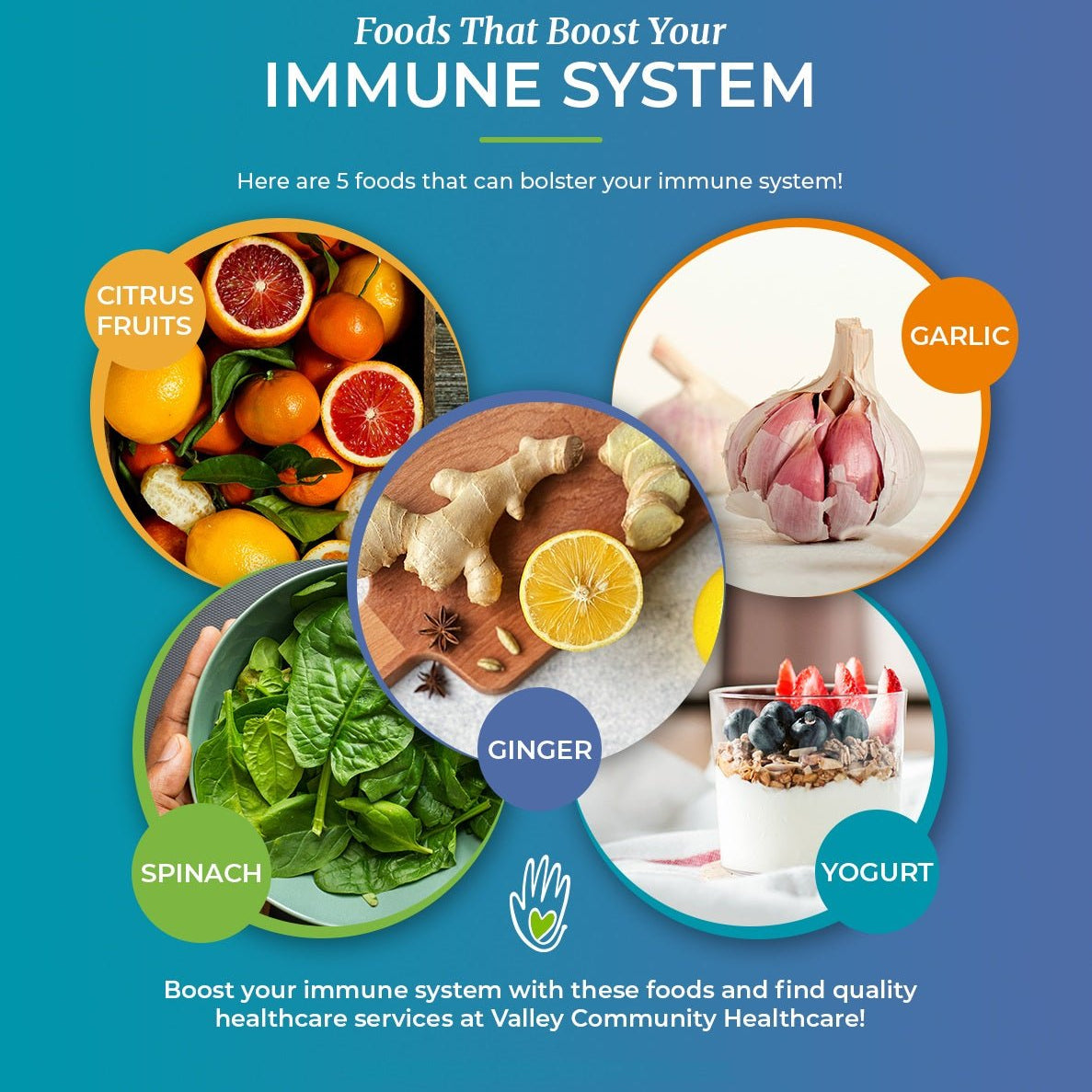 11+ Immune System Booster Foods to Stay Healthy in 2025 - IMMUNOSCIENCES
