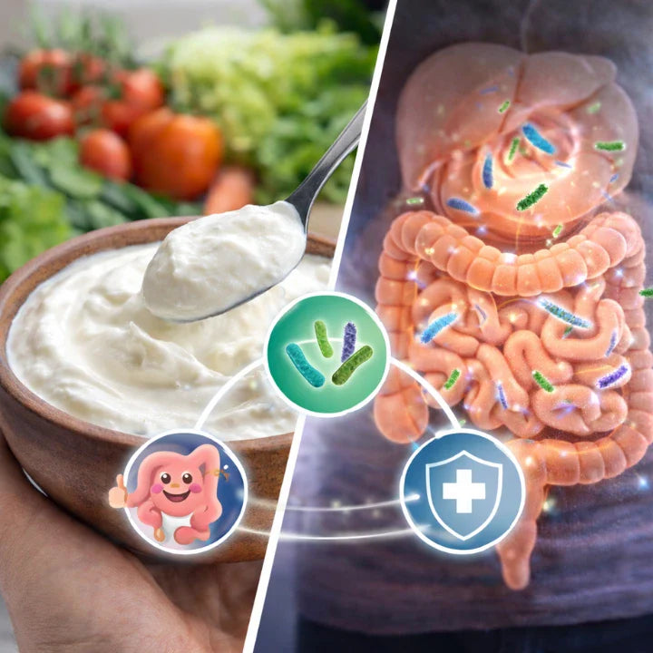 is curd good probiotic for gut health