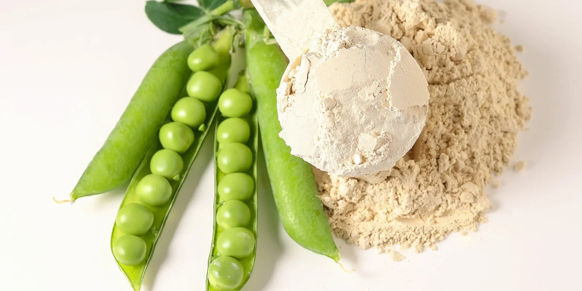 Is Pea Protein a Complete Protein? Everything You Need to Know - IMMUNOSCIENCES