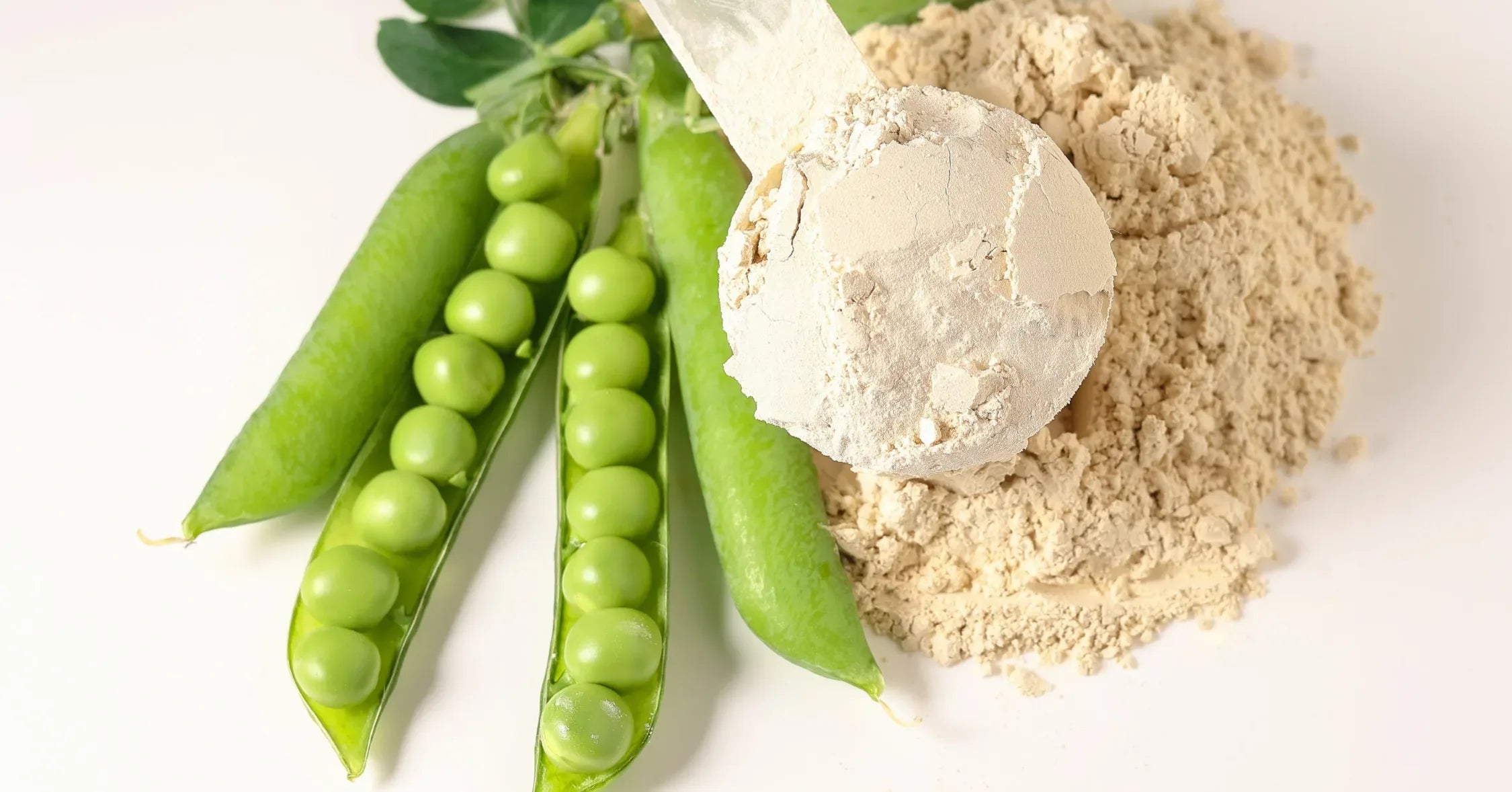 Is Pea Protein a Complete Protein