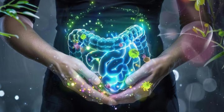 Is Plant-Based Protein Better for Your Gut Health? - IMMUNOSCIENCES