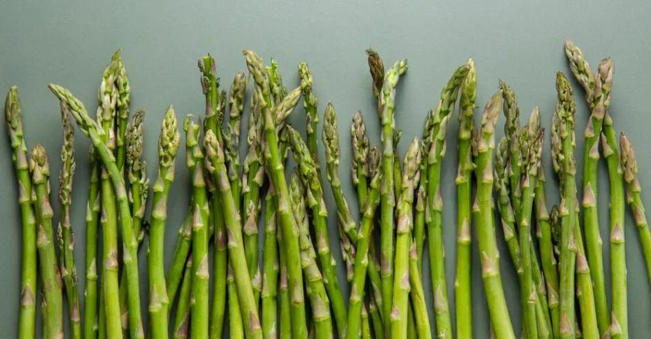 Lactation Supplement With Shatavari: A Natural Boost For Breast Milk Production - IMMUNOSCIENCES