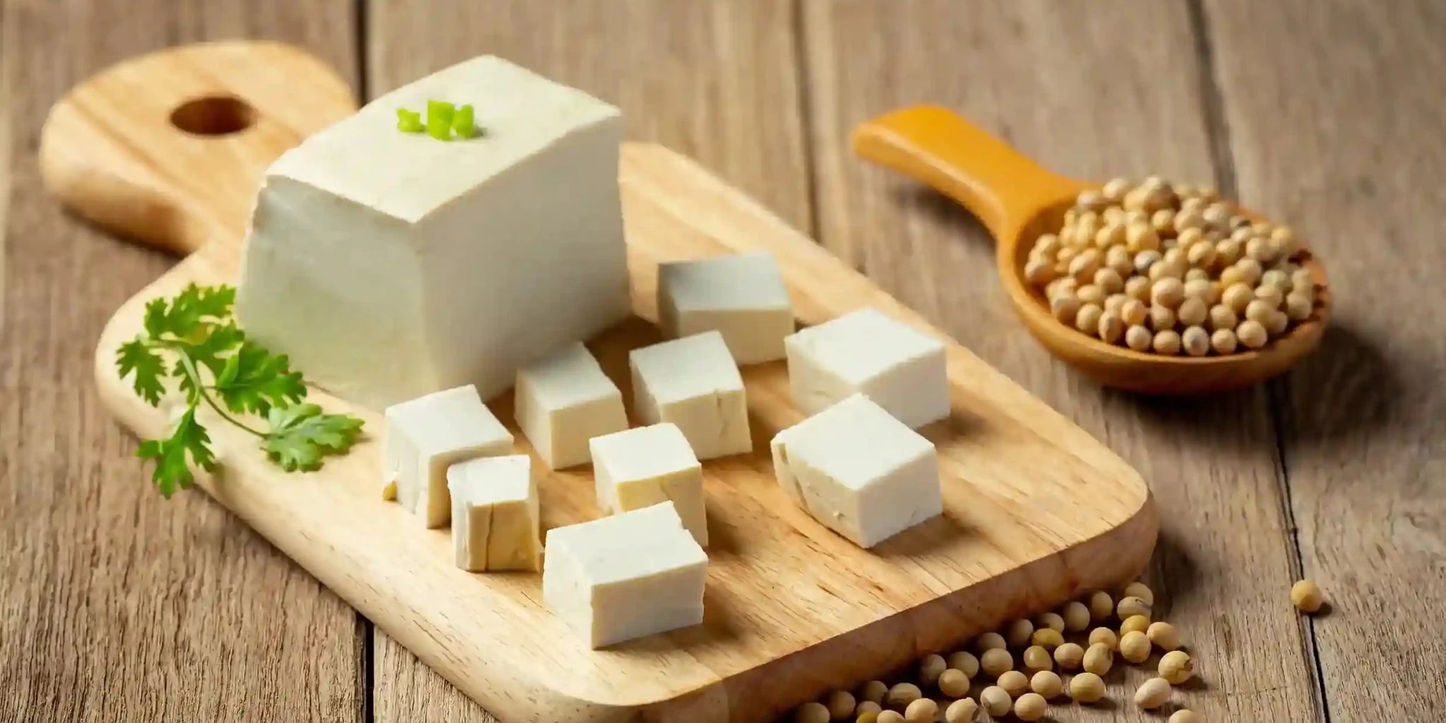 How Much Protein in Tofu Per 100g? Tofu vs Paneer Nutrition Breakdown - IMMUNOSCIENCES