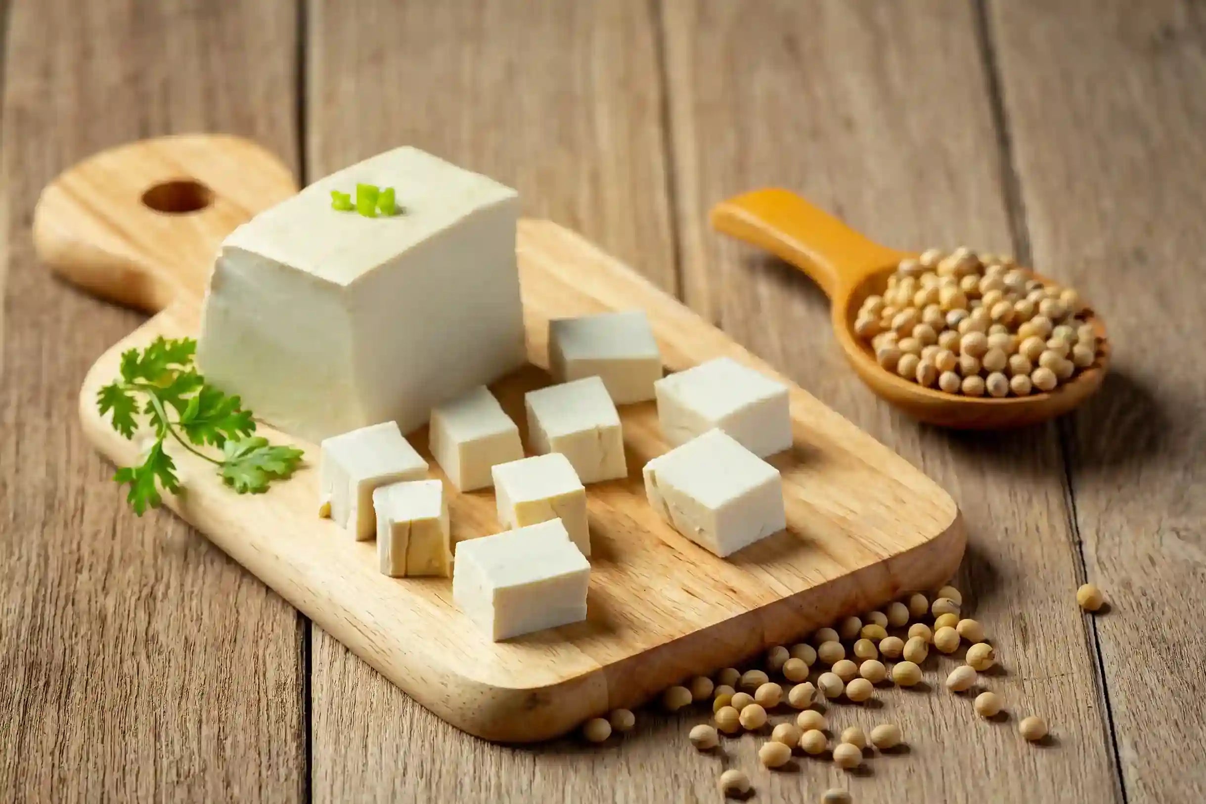 Protein in Tofu Per 100g
