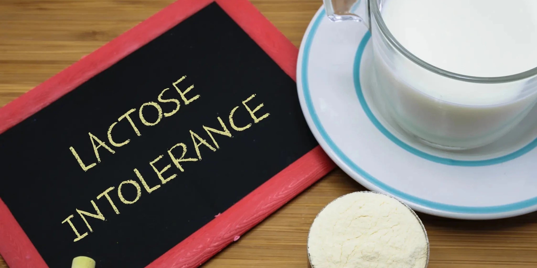 Best Dairy-Free Protein Powder for Lactose Intolerant People: No Bloating, No Discomfort, Just Clean Protein - IMMUNOSCIENCES