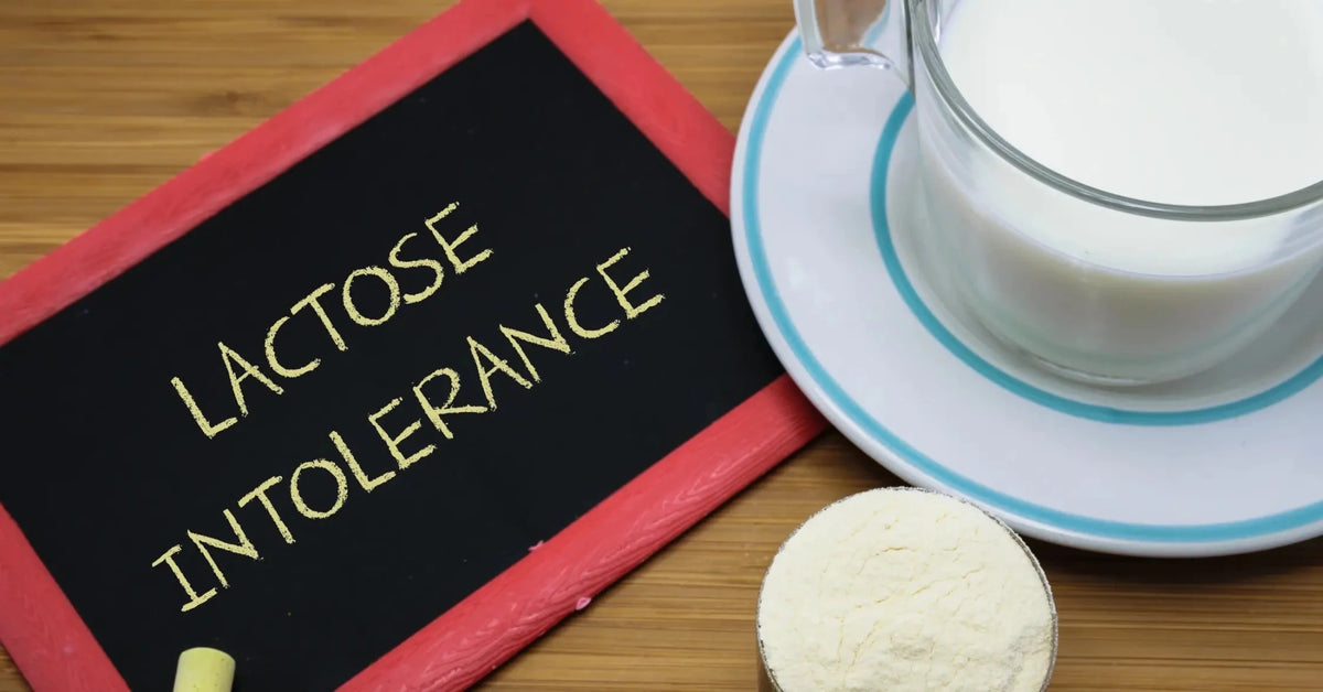 Best Dairy-Free Protein Powder for Lactose Intolerant People: No Bloating, No Discomfort, Just Clean Protein - IMMUNOSCIENCES