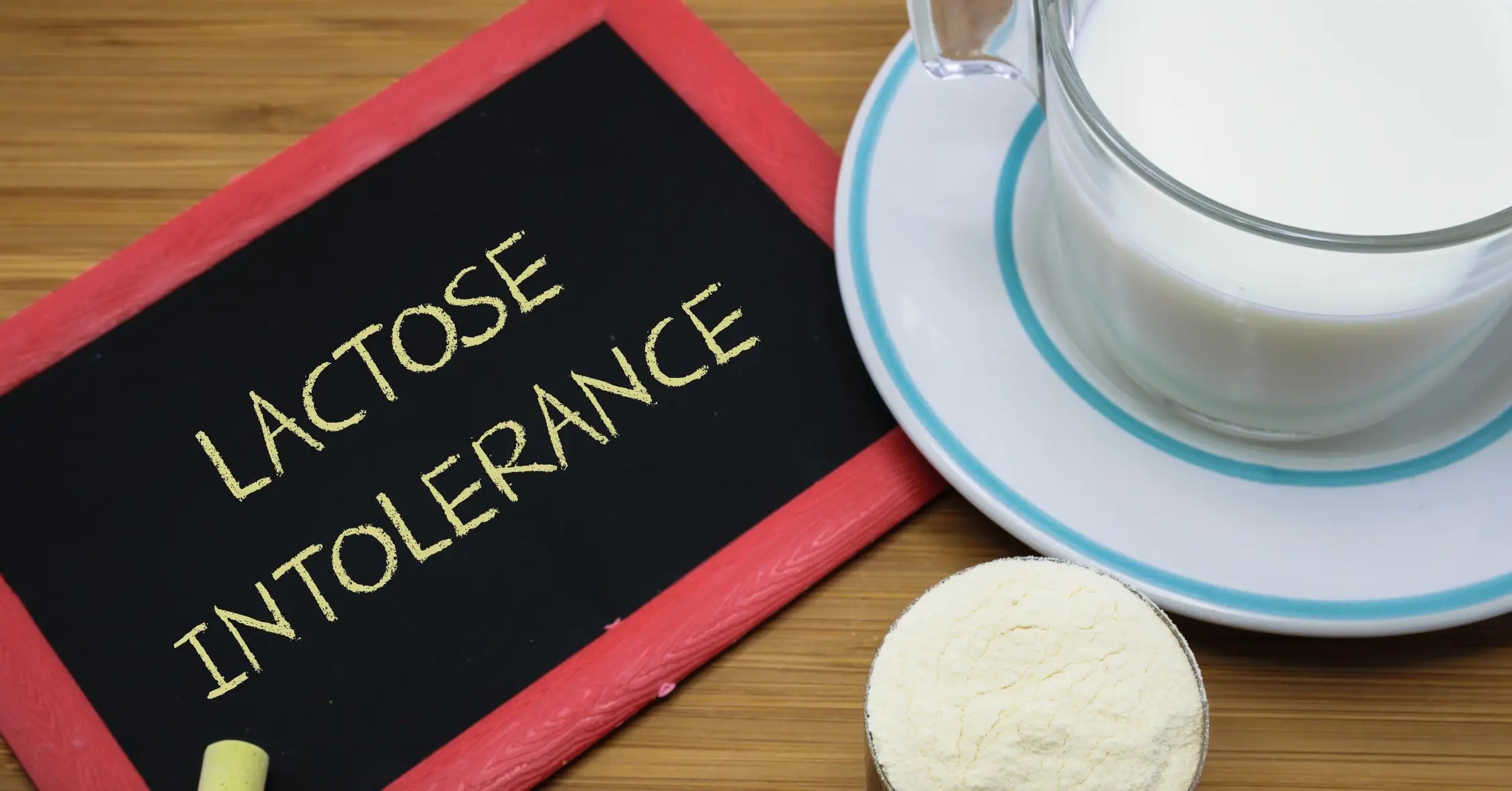 Protein Powder for Lactose Intolerant