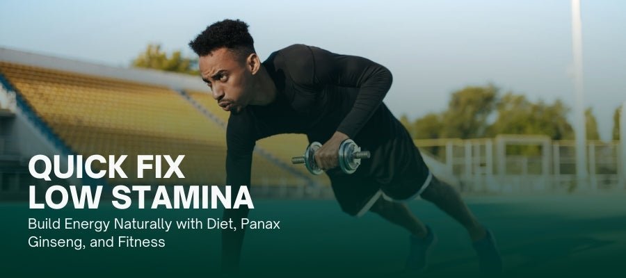 How To Build Stamina: Boost Energy Naturally with Diet, Panax Ginseng, and Fitness - IMMUNOSCIENCES