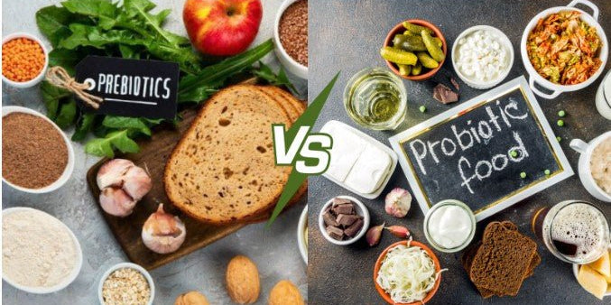 Prebiotic vs Probiotic – understand their differences, benefits, food sources, and how they work together to boost gut health, digestion, and immunity. - IMMUNOSCIENCES
