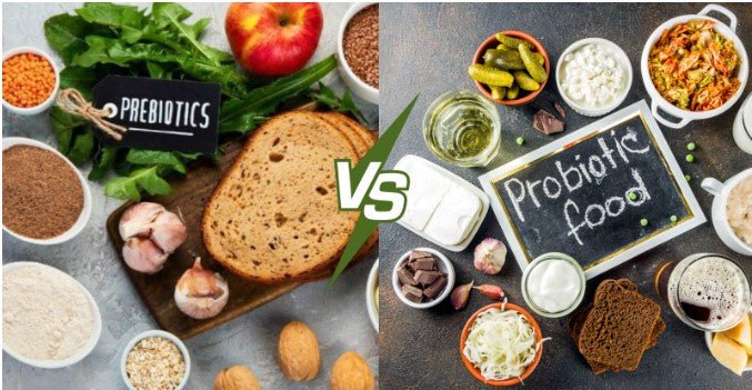 Prebiotic vs Probiotic – understand their differences, benefits, food sources, and how they work together to boost gut health, digestion, and immunity. - IMMUNOSCIENCES