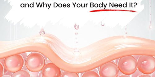 What Is Collagen and Why Does Your Body Need It? - IMMUNOSCIENCES