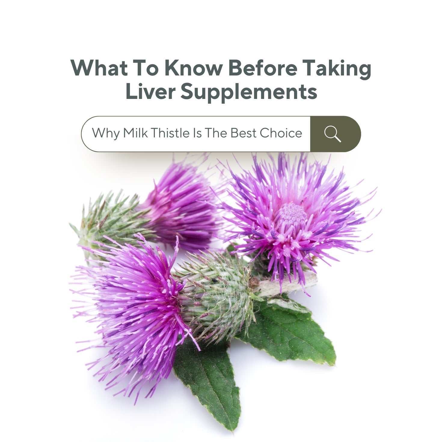 What To Know Before Taking Liver Supplements: Why Milk Thistle Is The Best Choice - IMMUNOSCIENCES