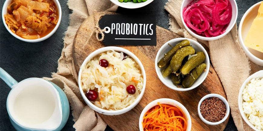 What Are Probiotics the Key to Better Health? A Doctor Reveals All - IMMUNOSCIENCES
