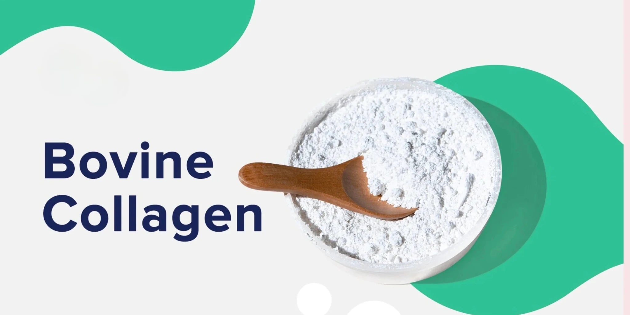 What is Bovine Collagen? Benefits, Uses & Why It’s Popular - IMMUNOSCIENCES