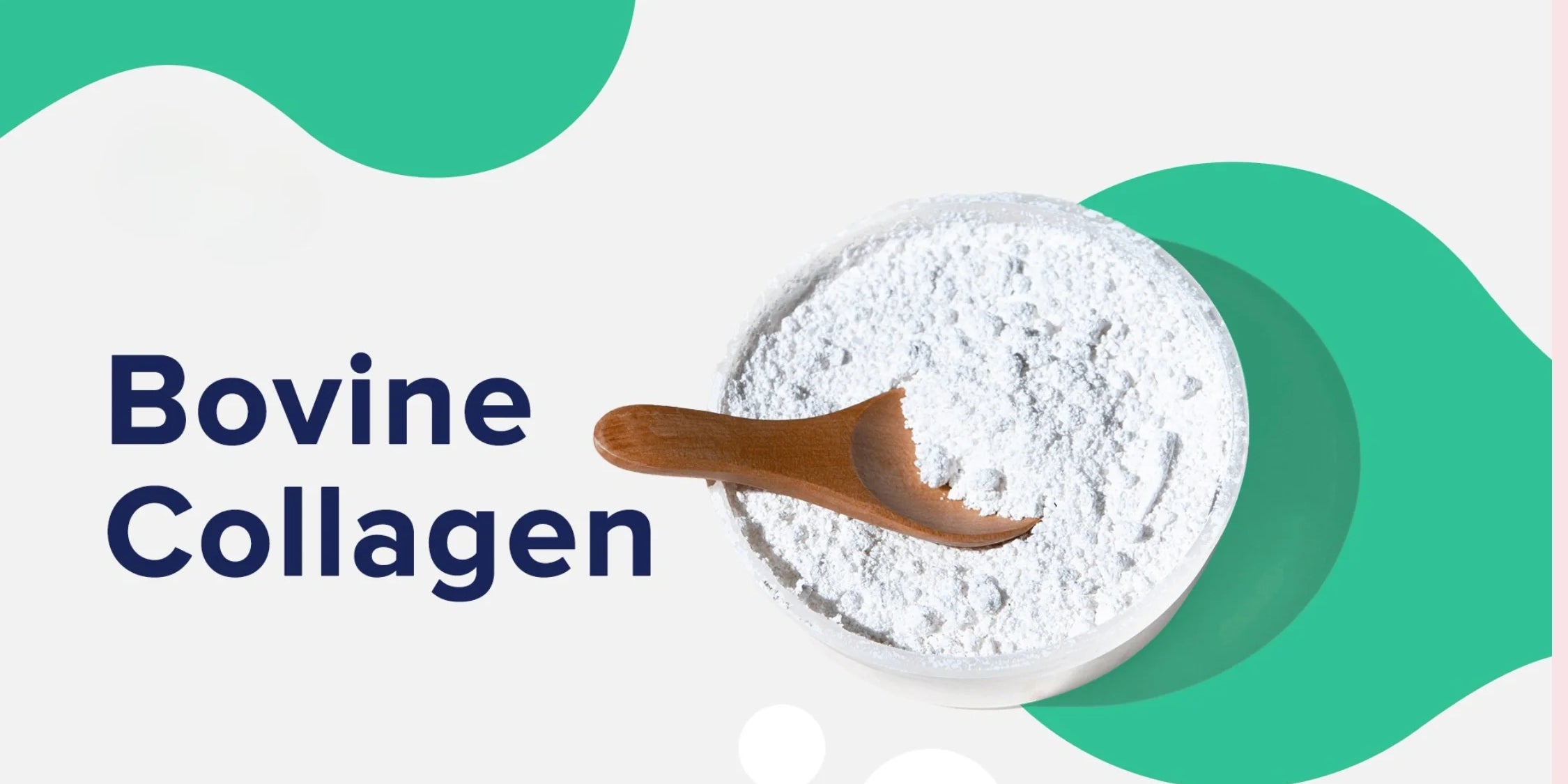 Bovine Collagen: Benefits, Uses & How It Supports Your Health