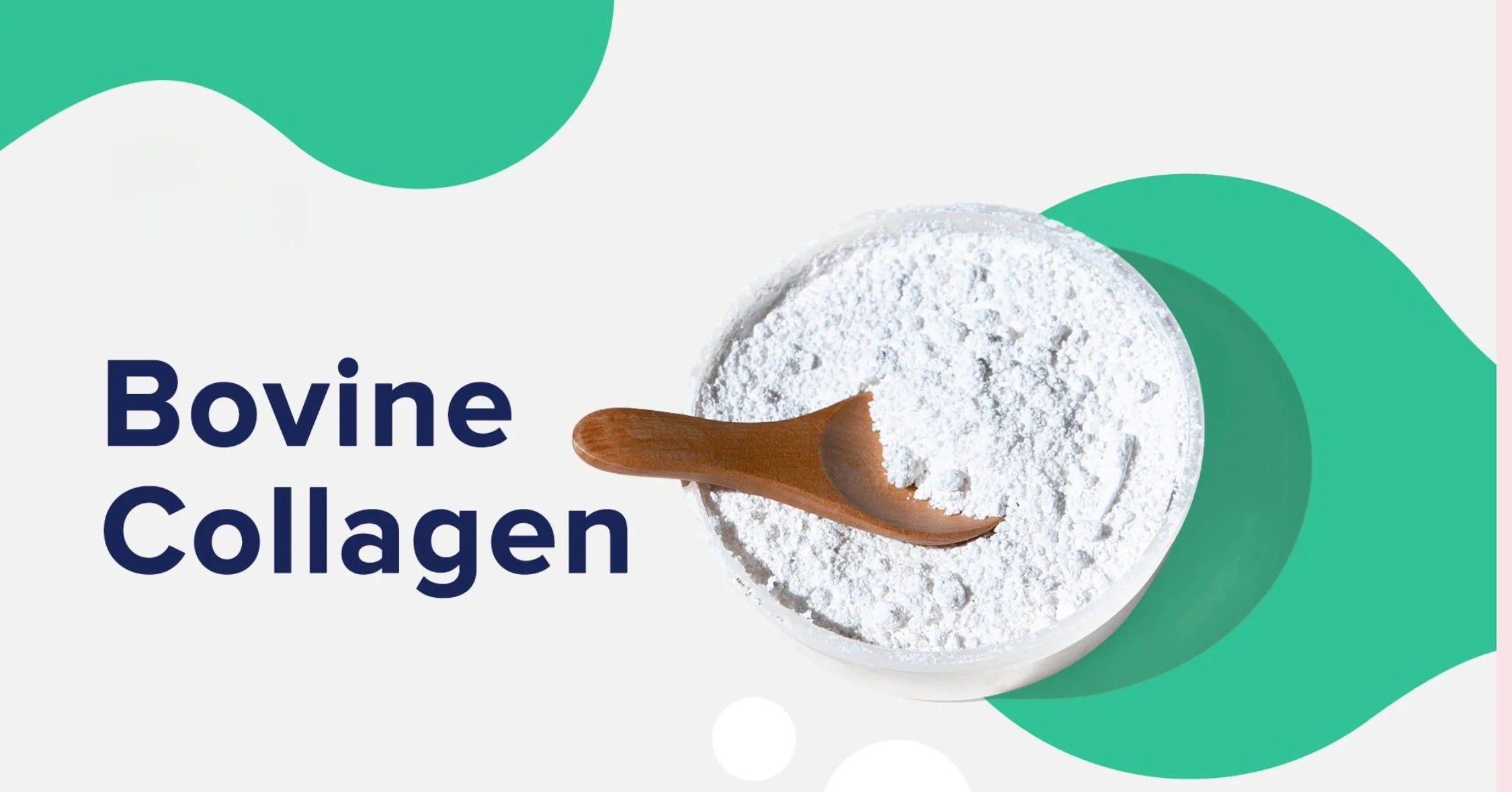 Bovine Collagen: Benefits, Uses & How It Supports Your Health