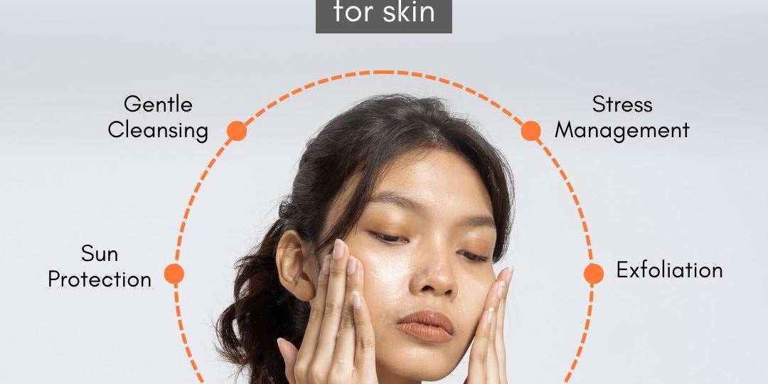 Best Collagen Supplement for Skin - the Ultimate Guide to Using It! - IMMUNOSCIENCES