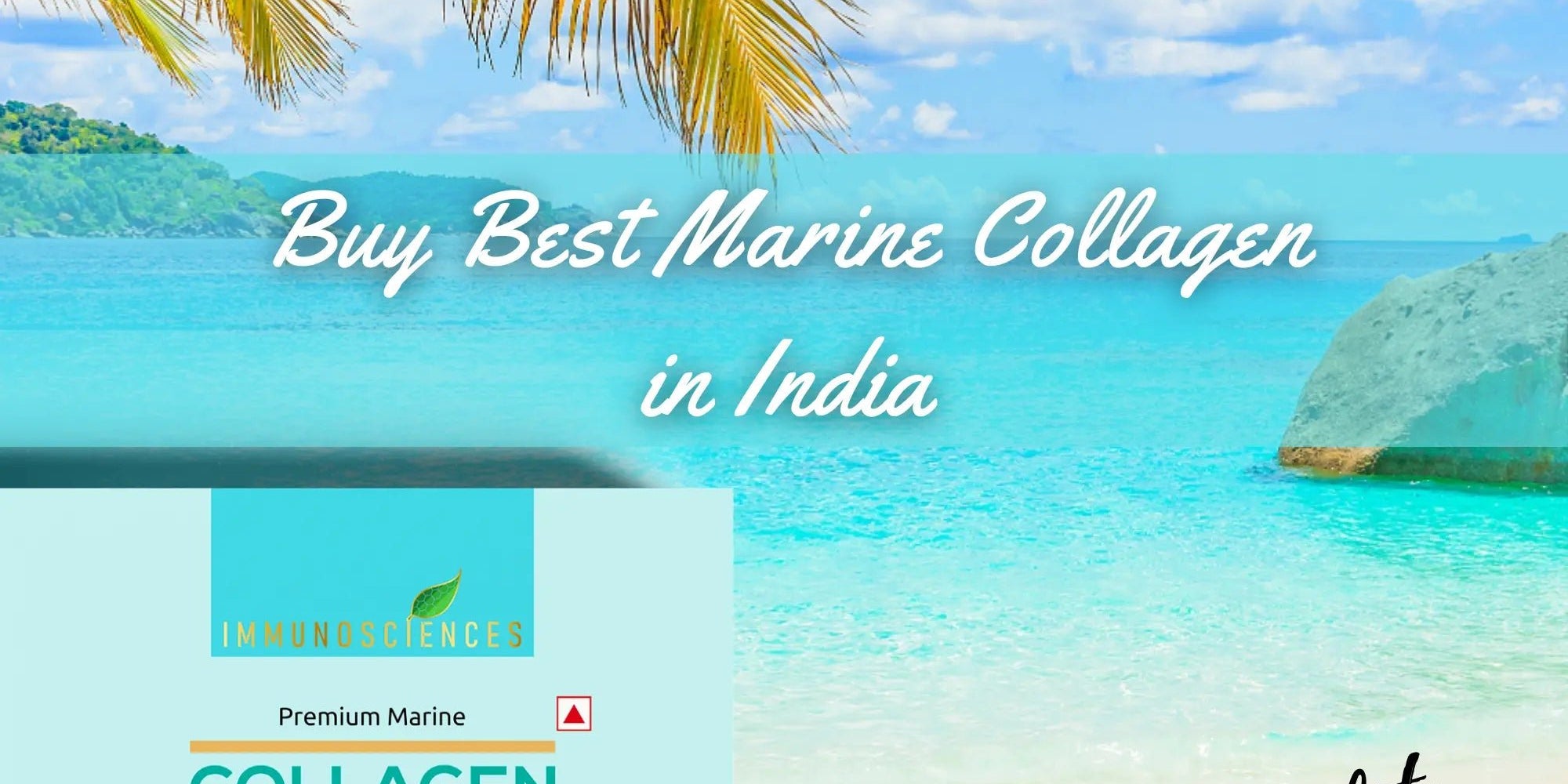 Best Marine Collagen in India and Also Know the Collagen Benefits in 2025 - IMMUNOSCIENCES