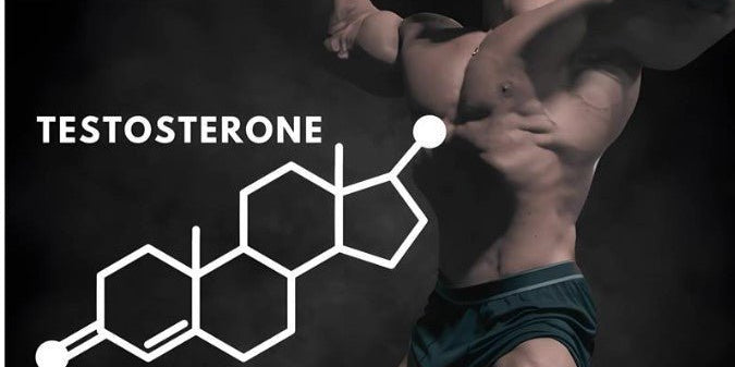 7 Natural Ways to Increase Testosterone Levels Quickly - IMMUNOSCIENCES