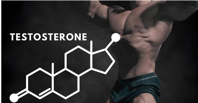 How to Increase Testosterone Levels Quickly Naturally