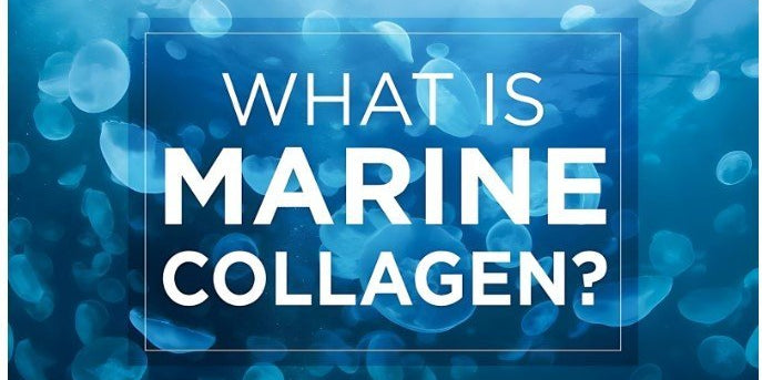 What is Marine Collagen? Benefits, Food Sources and Side Effects - IMMUNOSCIENCES