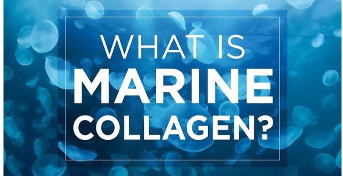 What is Marine Collagen? Benefits, Food Sources and Side Effects - IMMUNOSCIENCES