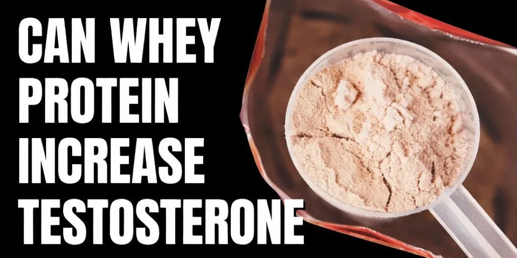 Does Whey Protein Increase Testosterone Levels? Science-Backed Truth You Should Know - IMMUNOSCIENCES