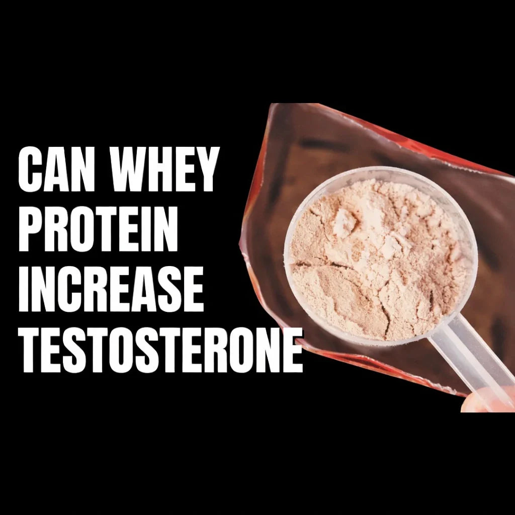 can whey protein increase testosterone