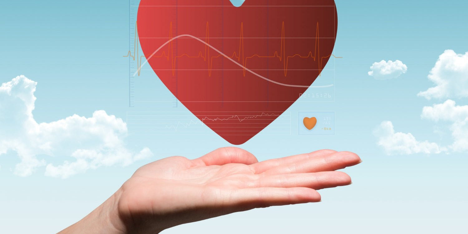 Unlocking the Secrets to a Strong Heart: Safeguarding Your Vital Organ in a Fast-Paced World - IMMUNOSCIENCES