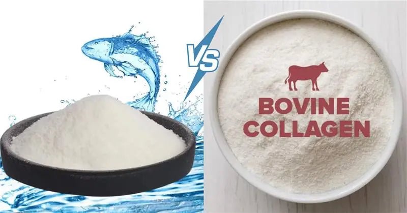 Marine Collagen vs Bovine Collagen: Which Is Better for Your Skin? - IMMUNOSCIENCES